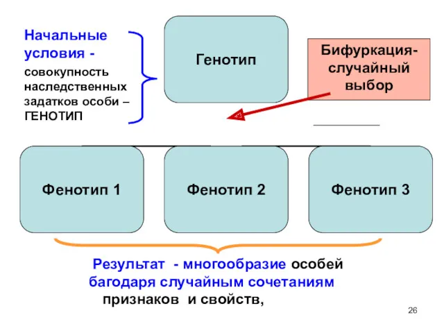 Начальные условия - совокупность наследственных задатков особи – ГЕНОТИП Результат