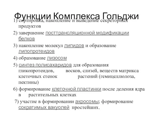 Функции Комплекса Гольджи 1) сортировка, накопление и выведение секреторных продуктов