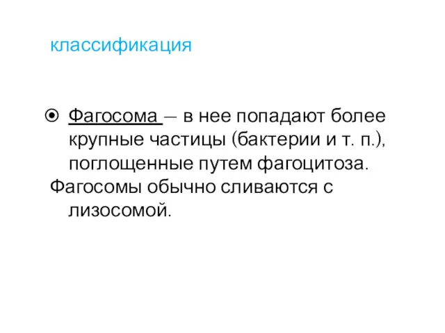 классификация Фагосома — в нее попадают более крупные частицы (бактерии