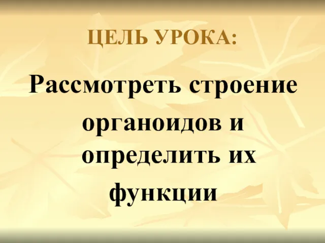 ЦЕЛЬ УРОКА: Рассмотреть строение органоидов и определить их функции