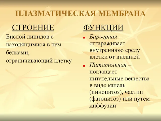 ПЛАЗМАТИЧЕСКАЯ МЕМБРАНА СТРОЕНИЕ Бислой липидов с находящимися в нем белками, ограничивающий клетку ФУНКЦИИ