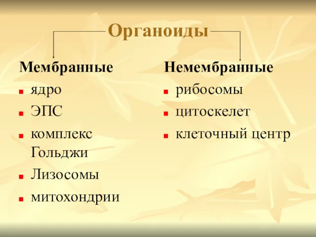 Органоиды Мембранные ядро ЭПС комплекс Гольджи Лизосомы митохондрии Немембранные рибосомы цитоскелет клеточный центр