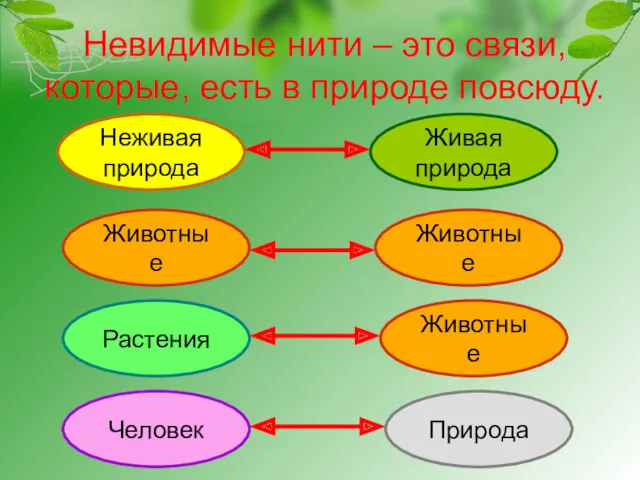 Невидимые нити – это связи, которые, есть в природе повсюду.