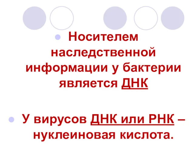 Носителем наследственной информации у бактерии является ДНК У вирусов ДНК или РНК – нуклеиновая кислота.