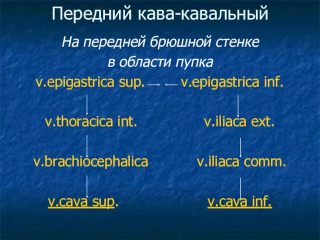 Передний кава-кавальный На передней брюшной стенке в области пупка v.epigastrica