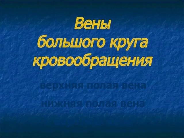 Вены большого круга кровообращения верхняя полая вена нижняя полая вена воротная вена