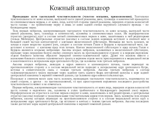 Проводящие пути тактильной чувствительности (чувство осязания, прикосновения). Тактильная чувствительность от