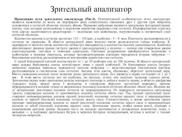 Проводящие пути зрительного анализатора (Рис.4). Отличительной особенностью этого анализатора является