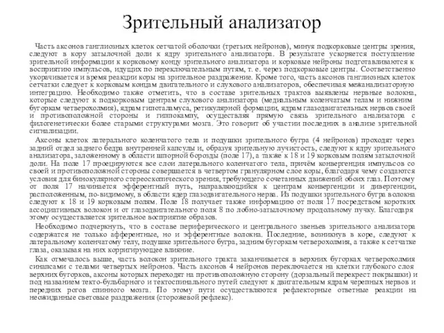 Часть аксонов ганглиозных клеток сетчатой оболочки (третьих нейронов), минуя подкорковые