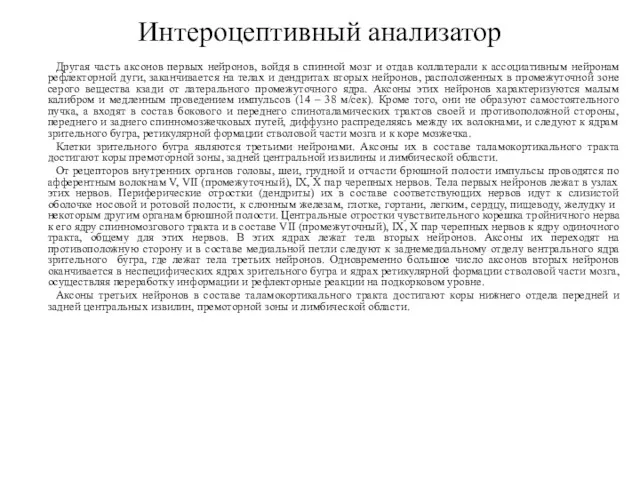 Интероцептивный анализатор Другая часть аксонов первых нейронов, войдя в спинной