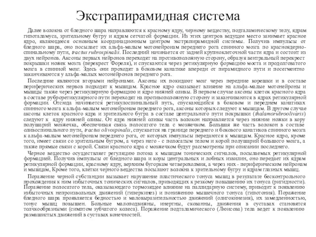 Экстрапирамидная система Далее волокна от бледного шара направляются к красному