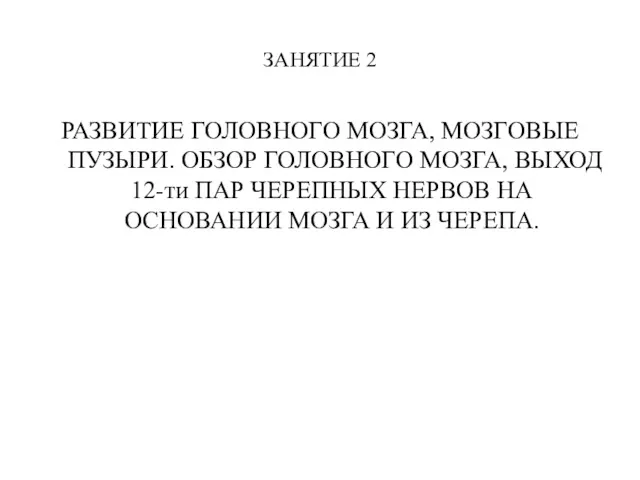 ЗАНЯТИЕ 2 РАЗВИТИЕ ГОЛОВНОГО МОЗГА, МОЗГОВЫЕ ПУЗЫРИ. ОБЗОР ГОЛОВНОГО МОЗГА,