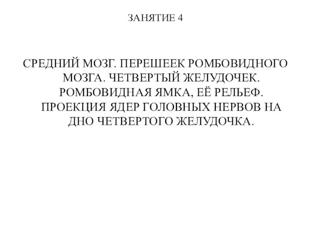 ЗАНЯТИЕ 4 СРЕДНИЙ МОЗГ. ПЕРЕШЕЕК РОМБОВИДНОГО МОЗГА. ЧЕТВЕРТЫЙ ЖЕЛУДОЧЕК. РОМБОВИДНАЯ