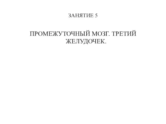 ЗАНЯТИЕ 5 ПРОМЕЖУТОЧНЫЙ МОЗГ. ТРЕТИЙ ЖЕЛУДОЧЕК.