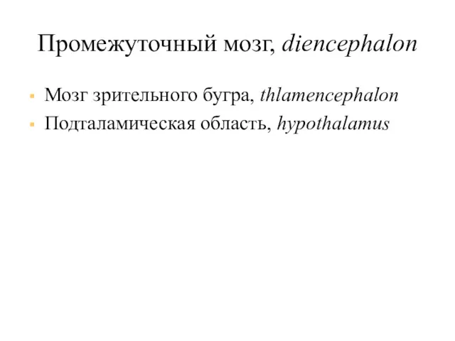 Промежуточный мозг, diencephalon Мозг зрительного бугра, thlamencephalon Подталамическая область, hypothalamus