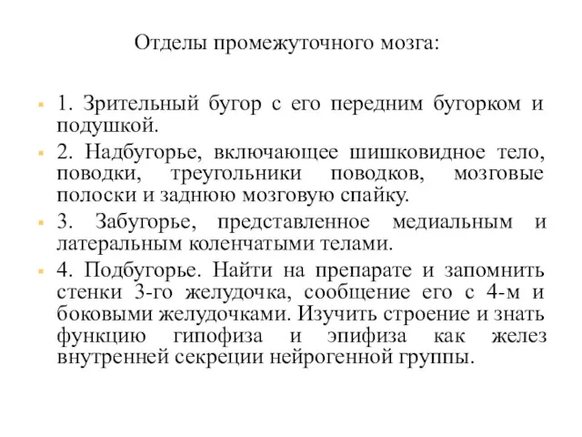 Отделы промежуточного мозга: 1. Зрительный бугор с его передним бугорком