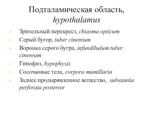 Подталамическая область, hypothalamus Зрительный перекрест, chiasma opticum Серый бугор, tuber