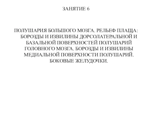 ЗАНЯТИЕ 6 ПОЛУШАРИЯ БОЛЬШОГО МОЗГА. РЕЛЬЕФ ПЛАЩА: БОРОЗДЫ И ИЗВИЛИНЫ