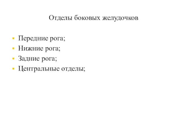 Отделы боковых желудочков Передние рога; Нижние рога; Задние рога; Центральные отделы;