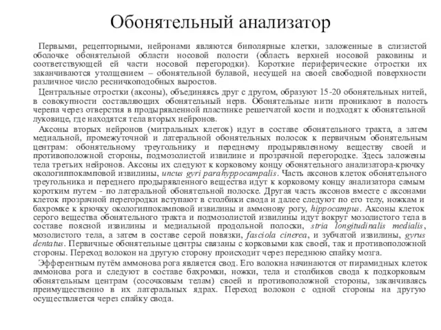 Первыми, рецепторными, нейронами являются биполярные клетки, заложенные в слизистой оболочке