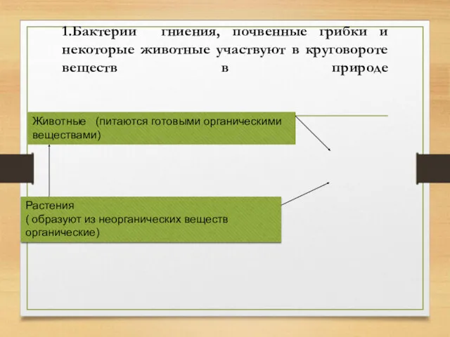 1.Бактерии гниения, почвенные грибки и некоторые животные участвуют в круговороте