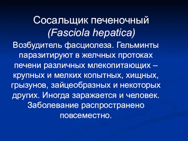 Сосальщик печеночный (Fasciola hepatica) Возбудитель фасциолеза. Гельминты паразитируют в желчных