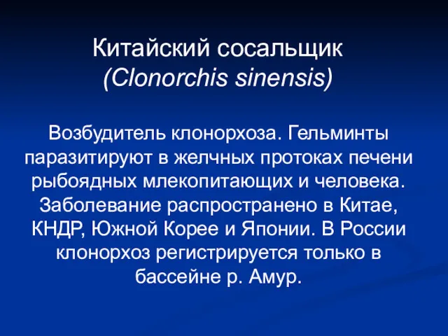 Китайский сосальщик (Clonorchis sinensis) Возбудитель клонорхоза. Гельминты паразитируют в желчных