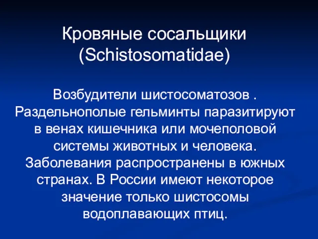 Кровяные сосальщики (Schistosomatidae) Возбудители шистосоматозов . Раздельнополые гельминты паразитируют в