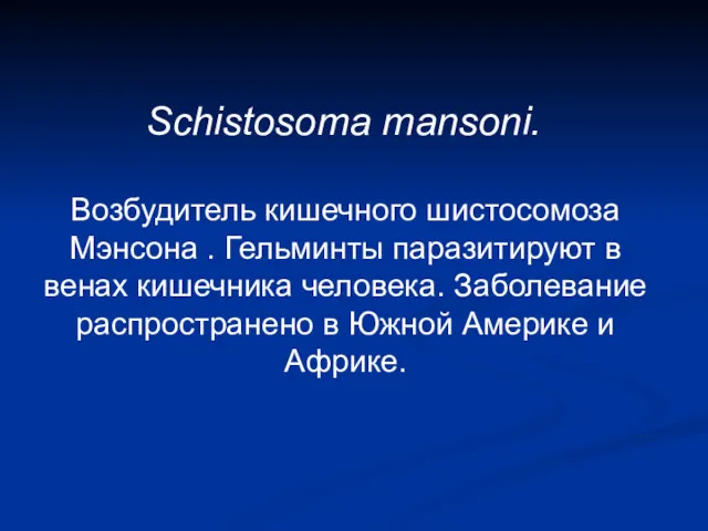Schistosoma mansoni. Возбудитель кишечного шистосомоза Мэнсона . Гельминты паразитируют в