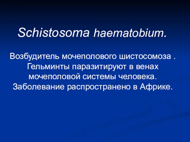 Schistosoma haematobium. Возбудитель мочеполового шистосомоза . Гельминты паразитируют в венах