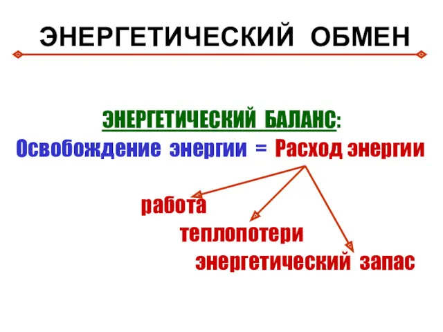 ЭНЕРГЕТИЧЕСКИЙ ОБМЕН ЭНЕРГЕТИЧЕСКИЙ БАЛАНС: Освобождение энергии = Расход энергии работа теплопотери энергетический запас