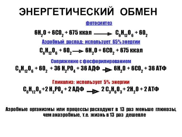ЭНЕРГЕТИЧЕСКИЙ ОБМЕН фотосинтез 6H2O + 6CO2 + 675 ккал C6H12O6