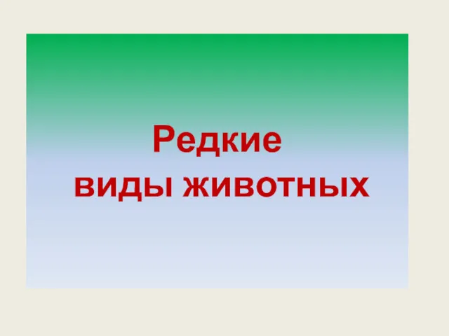 Редкие виды животных