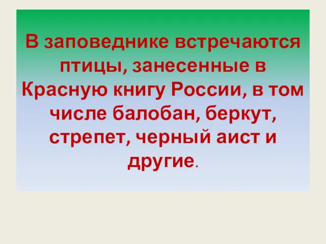 В заповеднике встречаются птицы, занесенные в Красную книгу России, в