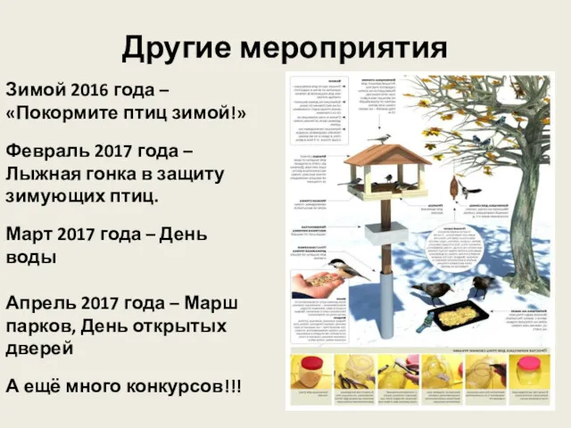 Другие мероприятия Зимой 2016 года – «Покормите птиц зимой!» Февраль