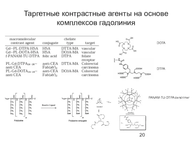 Таргетные контрастные агенты на основе комплексов гадолиния PANAM-TU-DTPA dendrimer DTPA DOTA