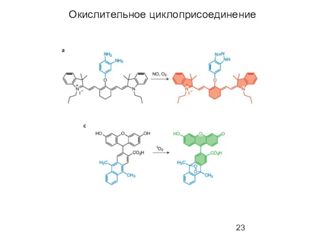 Окислительное циклоприсоединение