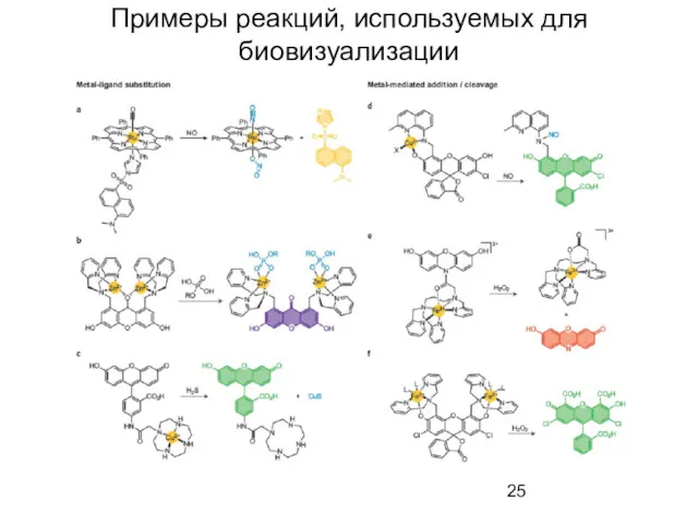 Примеры реакций, используемых для биовизуализации