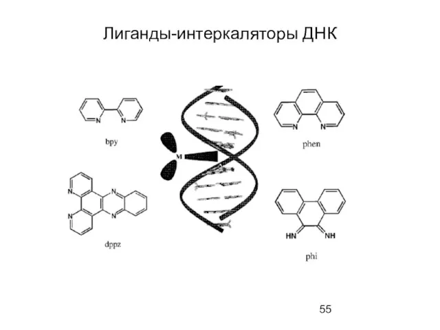 Лиганды-интеркаляторы ДНК