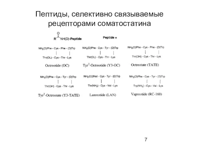 Пептиды, селективно связываемые рецепторами соматостатина