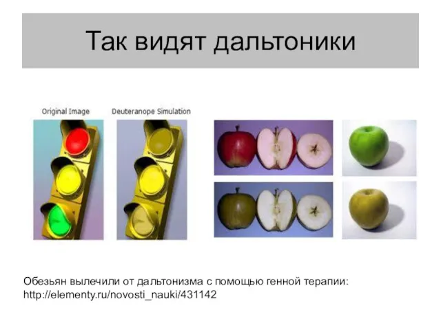 Так видят дальтоники Обезьян вылечили от дальтонизма с помощью генной терапии: http://elementy.ru/novosti_nauki/431142