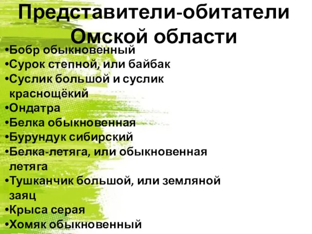 Представители-обитатели Омской области Бобр обыкновенный Сурок степной, или байбак Суслик