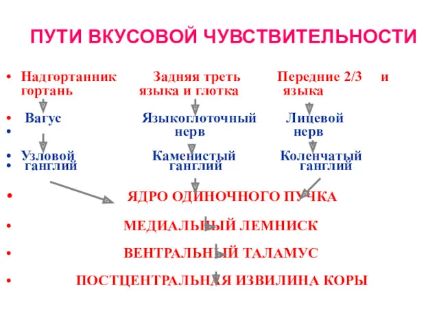 ПУТИ ВКУСОВОЙ ЧУВСТВИТЕЛЬНОСТИ Надгортанник Задняя треть Передние 2/3 и гортань