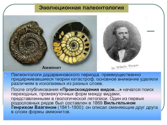 Палеонтологи додарвиновского периода, преимущественно придерживавшиеся теории катастроф, основное внимание уделяли