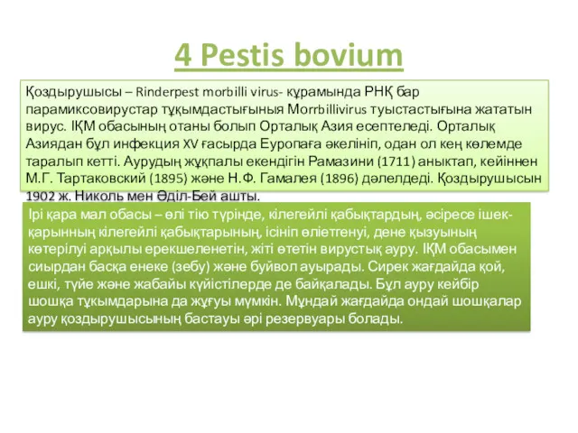 4 Pestis bovium Қоздырушысы – Rinderpest morbilli virus- кұрамында РНҚ бар парамиксовирустар тұқымдастығыныя