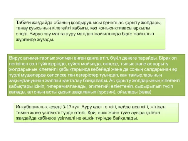 Вирус алиментарлык жолмен енген қанға өтіп, бүкіл денеге тарайды. Бірақ ол негізінен сөл