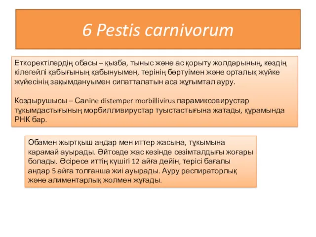 6 Pestis carnivorum Еткоректілердің обасы – қызба, тыныс және ас қорыту жолдарының, көздің