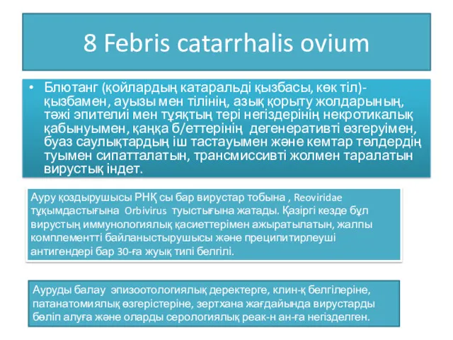 8 Febris catarrhalis ovium Блютанг (қойлардың катаральді қызбасы, көк тіл)- қызбамен, ауызы мен