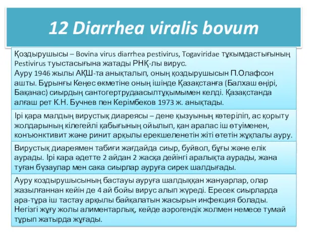 12 Diarrhea viralis bovum Қоздырушысы – Bovina virus diarrhea pestivirus, Togaviridae тұкымдастығының Pestivirus