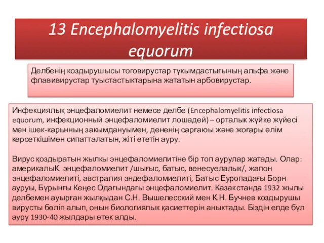 13 Encephalomyelitis infectiosa equorum Инфекциялық энцефаломиелит немесе делбе (Encephalomyelitis infectiosa equorum, инфекционный энцефаломиелит